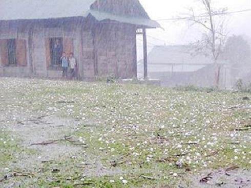 Mưa đá trắng trời tấn công Mộc Châu, 10 năm mới gặp một lần-1