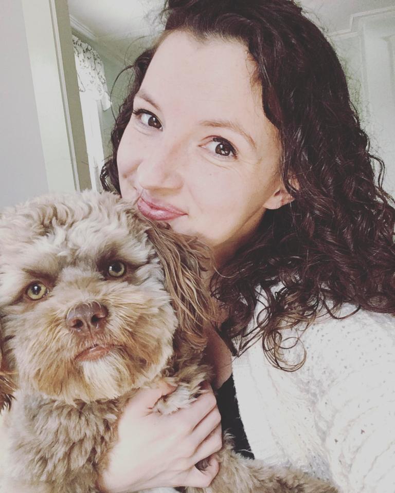 CHUYỆN LẠ: Chú chó gây sốt vì khuôn mặt giống nhiều sao nam Hollywood-2