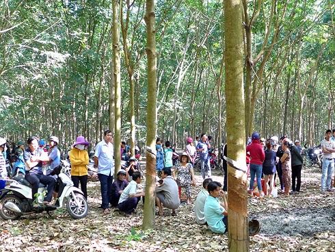 Tìm thấy thi thể bé gái 4 tuổi mất tích khi đi thăm mộ ông