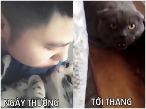 Vấn đề muôn thủa của các cô gái hàng tháng