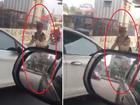 Nữ tài xế vượt đèn đỏ, húc xe thẳng vào cảnh sát giao thông