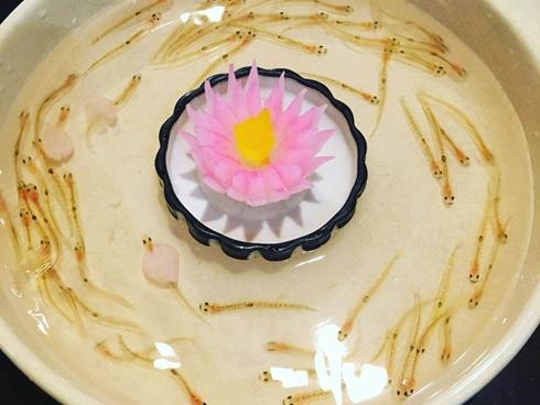 Tại sao người Nhật ăn cá sống mỗi ngày mà không sợ bị nhiễm ký sinh trùng-3