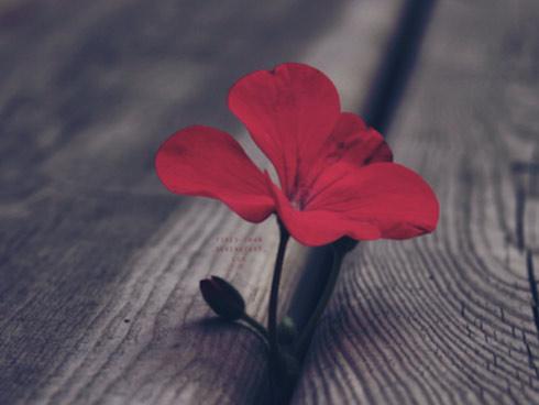 Tử vi thứ Ba ngày 20/3/2018 của 12 cung hoàng đạo