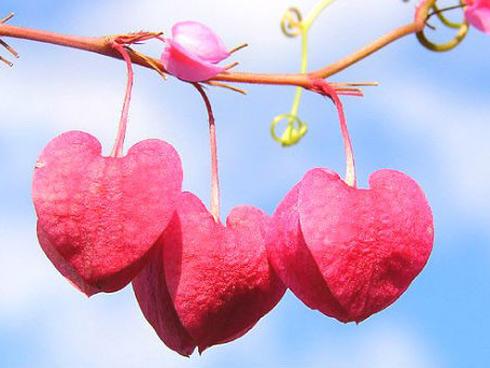 Báo động 5 cung Hoàng đạo sau bị xui xẻo đeo bám, cuộc sống có nhiều thăng trầm trong năm 2018