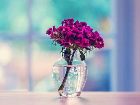 Tử vi Chủ nhật ngày 25/3/2018 của 12 con giáp