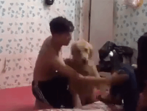 thu-cung.gif?width=150