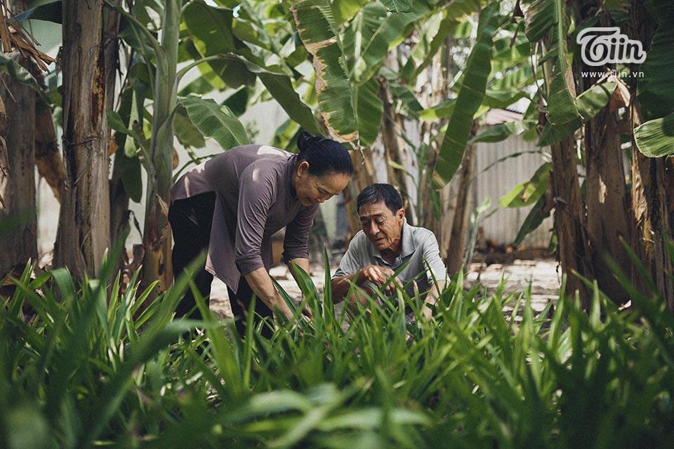 Chủ nhân của bộ ảnh này là cặp vợ chồng bác Trương Văn Ne (sinh năm 1955) và Nguyễn Thị Lê (sinh năm 1958) ở Cần Thơ.