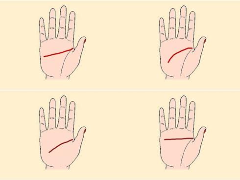 Từ đường chỉ tay nhận ra tính cách và khả năng công việc của bạn