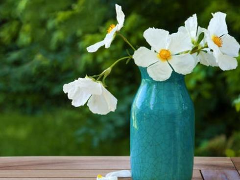 Tử vi thứ Ba ngày 3/4/2018 của 12 cung hoàng đạo