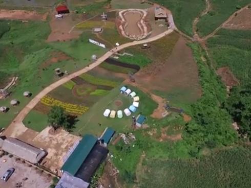 Thiên đường hoa cỏ ở Mộc Châu qua góc nhìn Flycam