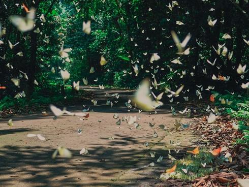 Nơi lưu giữ bộ xương người tiền sử hơn 7.500 năm-10