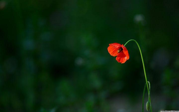 Chia tay nhé, anh nhớ đấy, cả đời này cũng đừng gặp lại… (Phần 4)-1