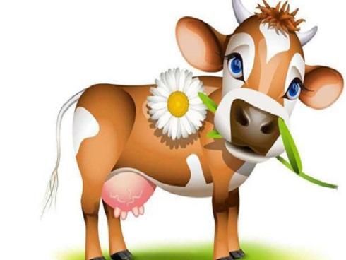 GÓC KHUẤT 12 CON GIÁP: Tuổi Sửu giỏi che đậy, bên ngoài hiền lành, bên trong mưu mẹo