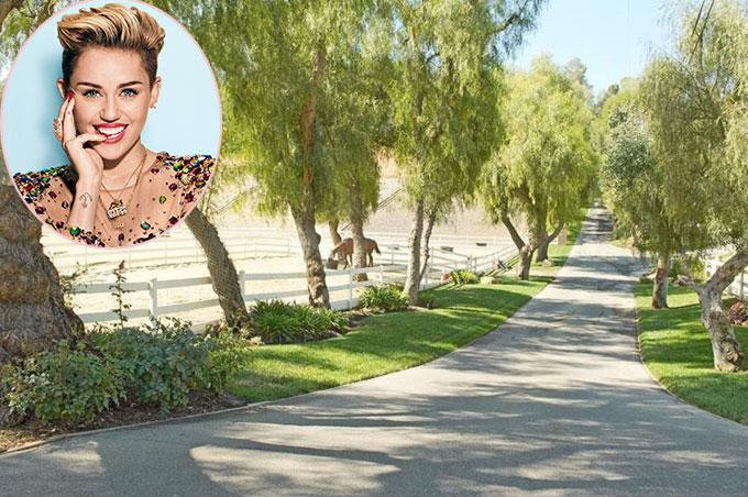 Tuổi thơ từng gắn bó với trang trại ở vùng quê Tennessee nên khi có điều kiện, Miley Cyrus đã tự bỏ tiền mua điền trang rộng lớn để thỏa ước mơ được cưỡi ngựa, sống chan hòa với thiên nhiên như hồi thơ bé. Nữ ca sĩ tậu cơ ngơi ở Hidden Hills, California vào năm 2015 với giá 5 triệu USD (gần 114 tỷ đồng).