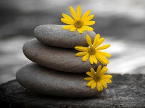 Tử vi tháng 5/2018 mới nhất của 4 con giáp Thân, Dậu, Tuất, Hợi