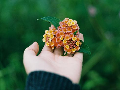 Tử vi tuần mới của 12 cung hoàng đạo từ ngày 23/4 đến 29/4/2018