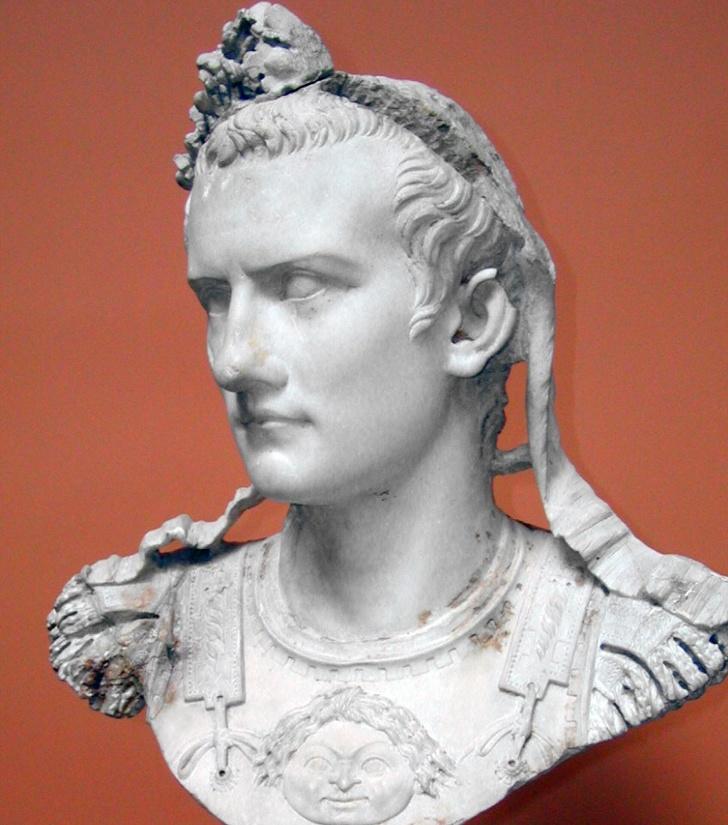 Hoàng đế La Mã Caligula rất yêu ngựa và đã coi Incitatus - chú ngựa yêu quý của ông làm chính khách. Chuồng của Incitatus được làm bằng đá cẩm thạch, máng cỏ được làm từ ngà, yên cương được làm từ đá quý. Chế độ ăn uống của chú ngựa này vô cùng xa hoa: yến mạch trộn vàng nhuyễn. Thậm chí, vị hoàng đế này còn bổ nhiệm Incitatus thành quan chức chính trị.