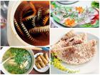 Đến Quảng Bình uống tiết 'mãng xà biển', ăn gỏi 'thủy quái', bạn đã thử chưa?