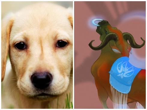 Những con giáp sau 30 tuổi sự nghiệp mới bớt lận đận