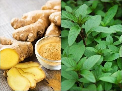 Những nguyên liệu đơn giản giúp giải bớt độc khi ăn phải thức ăn ôi thiu, thực phẩm chứa chất có hại