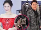 Hòa Minzy lập thời gian biểu cho chó và người yêu, bạn trai nữ ca sĩ giật mình: 'Cả đời anh gắn liền với chó hả?'
