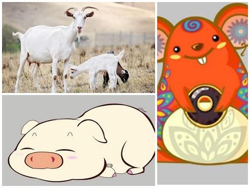 Điểm danh 3 con giáp hốt tiền, hốt bạc trong tháng 5/2018 dương lịch