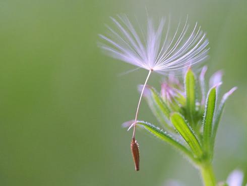 Tử vi thứ Sáu ngày 4/5/2018 của 12 cung hoàng đạo