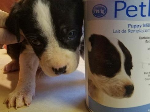 Những hình ảnh chẳng ai nghĩ lại có thể trùng hợp đến thế