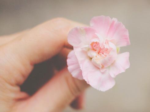 Tử vi thứ Sáu ngày 11/5/2018 của 12 con giáp