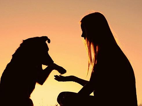 Yêu các chòm sao này, bạn phải chấp nhận sống chung với thú cưng của họ