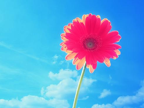 Tử vi thứ 7 ngày 12/5/2018 của 12 cung hoàng đạo