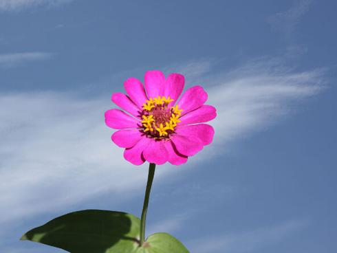 Tử vi tuần mới của 12 cung hoàng đạo từ 14/5 - 20/5/2018