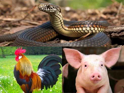 3 con giáp giàu có, tiền chất đầy nhà trong tháng 6/2018