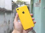 iPhone 2018 sặc sỡ với 'áo mới' xanh, vàng, hồng nổi bật