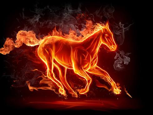 Tình duyên của người tuổi Ngọ trong năm Mậu Tuất 2018