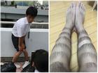 Nam sinh bỗng chốc nổi tiếng khắp Nhật Bản bằng cách nhổ lông chân theo hình họa tiết