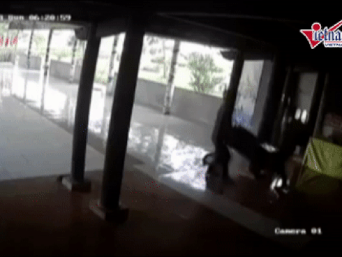 Video 2 thanh niên ngang nhiên khiêng trộm hòm công đức