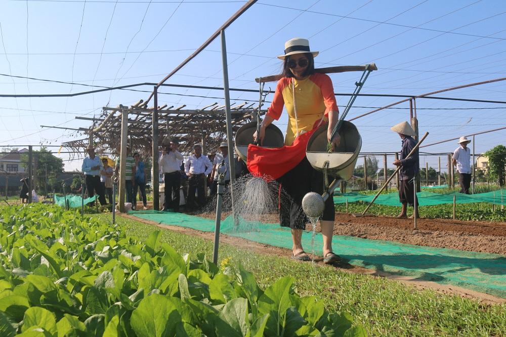 Nữ du khách xinh đẹp thích thú với vườn rau xanh hút mắt ở Hội An-2