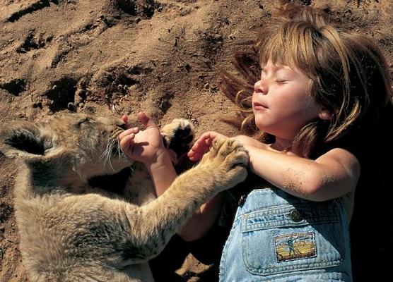 Trong ảnh là cô bé Tippi Degré. Tippi đã trở thành bạn thân của rất nhiều động vật hoang dã ở châu Phi, trong đó có loài báo. Bức hình chụp lại khoảnh khắc cô bé và bạn thân mình đang ngủ rất say.