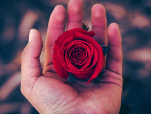 Tử vi thứ 7 ngày 19/5/2018 của 12 con giáp