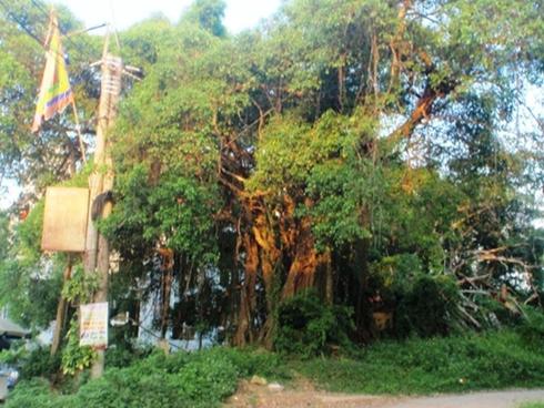 Vụ cụ ông gần 70 tuổi tự tử ở Phú Thọ: Lá thư tuyệt mệnh đọc ai cũng khóc