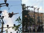 Người đàn ông leo lên cột điện tự tử bị cả làng 'chửi' vì làm mất điện ngày nắng nóng