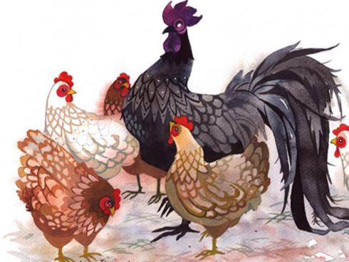 3 con giáp muốn gì được nấy, làm gì cũng thuận lợi nửa cuối năm 2018