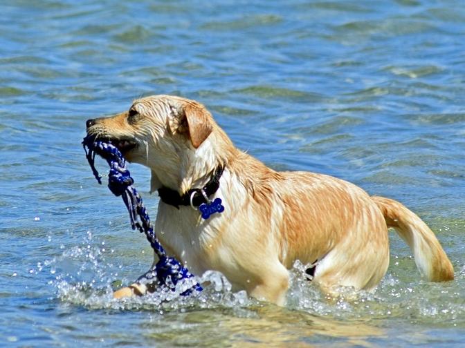 Các pha mắc dại của boss khiến con sen sợ rớt nguyên tim-11