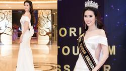 2 tháng trước khi chinh chiến Hoa hậu Đại sứ Du lịch Thế giới 2018, Phan Thị Mơ mắc chứng thoát vị đĩa đệm