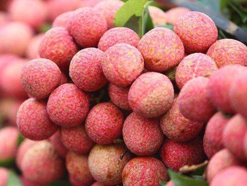 Khi chọn vải nên chọn quả màu đỏ hay pha xanh, người bán nhắc chỉ cần nhớ 4 điều-5