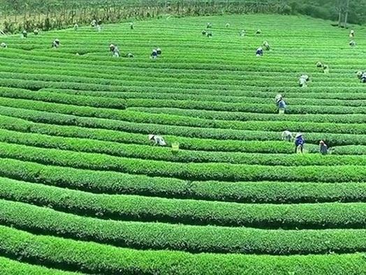 Những thiên đường 'trốn nóng' ngày hè tuyệt đẹp ở Việt Nam