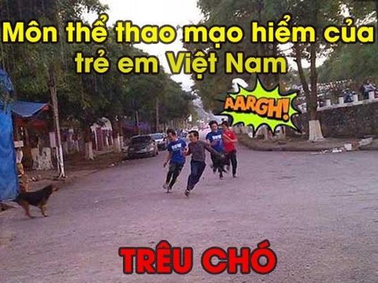 Trêu chó: Môn thể thao mạo hiểm không thể thiếu của tuổi thơ