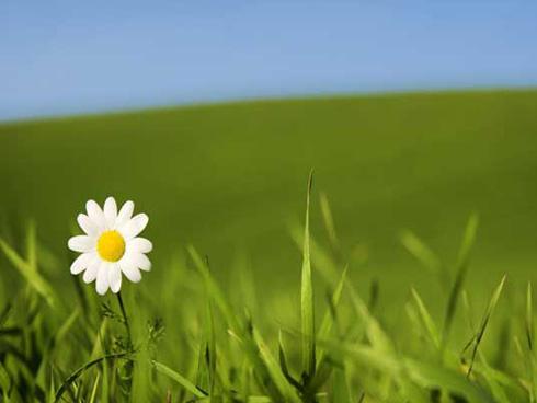 Tử vi thứ 7 ngày 2/6//2018 của 12 cung hoàng đạo!