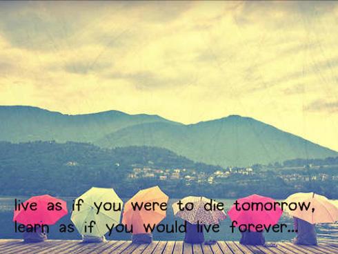 Tử vi thứ 7 ngày 2/6/2018 của 12 con giáp